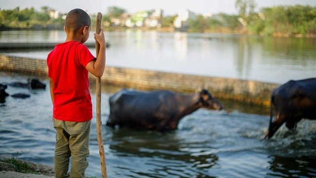 सिमटते गाँव: शहरीकरण की आंधी में विलुप्त होती ग्रामीण जड़ें 